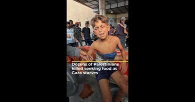 Dozens of Palestinians killed seeking food as Gaza starves