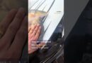 Driver in China criticised for turning car bonnet into ‘fish tank’ #shorts
