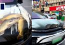 Driver in China criticised for turning car bonnet into ‘fish tank’