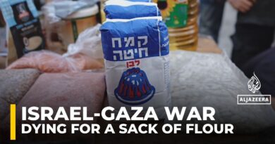Dying for flour: Palestinians in Gaza face danger and hunger under Israeli blockade