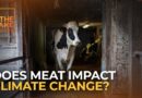 Eating our way out of climate collapse | The Take