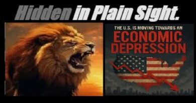 ECONOMIC DEPRESSION. DOLLAR MELTDOWN. US FACTORY DEATH. TRADE LOSSES. US/China Decoupling. Mannarino
