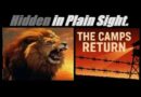 ECONOMIC MELTDOWN? This Is WAY WORSE… (The Camps Return…) Mannarino