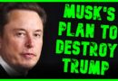 ELON LAUNCHES 3RD PARTY TO TORPEDO TRUMP! | The Kyle Kulinski Show