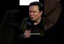 Elon Musk says Grok 4 is “the smartest AI in the world”
