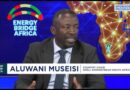 Energy Bridge Africa: Role of PPPs in achieving energy security in Africa