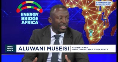 Energy Bridge Africa: Role of PPPs in achieving energy security in Africa