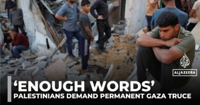 ‘Enough words’: Exhausted Palestinians in Gaza beg for action as Israeli strikes continue