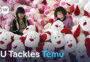 EU warns Temu on product safety | DW News