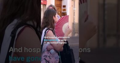 Europe’s extreme heat now the ‘new normal’? | DW News