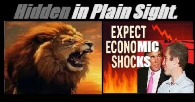 EXPECT “ECONOMIC SHOCKS” ON THE BACK OF THE “VANISHED” EPSTEIN FILES/LIST. Mannarino