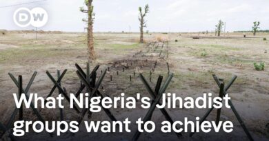 Explaining the recent rise in Jihadist violence in Nigeria | DW News