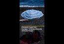 Extreme heat hits Europe, forcing closures and warnings | AJ #shorts