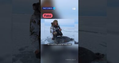 Fact check: Polar Bear Hoax – How a fake site framed Merz in viral clip | DW News