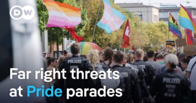 Far-right sparks fear at Pride events in Germany | Focus on Europe