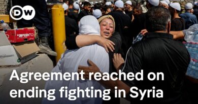Fighting between Israel and Syria has stopped, says US | DW News