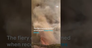 ‘Firenado’ in Turkey | DW News