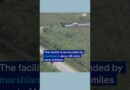 Florida’s new ‘Alligator Alcatraz’ immigration facility | DW News