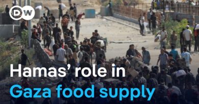 Food aid in Gaza: The influence of Hamas | DW News