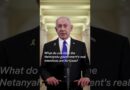 Former Israeli Prime Minister Olmert slams Israel’s Gaza plans | DW News