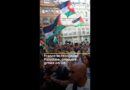France’s decision to recognise Palestine ups pressure on UK’s Starmer | AJ #shorts