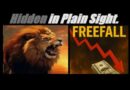 FREEFALL ECONOMIC POLICY? (Its Not What You Think). FULL-BREAKDOWN. Mannarino