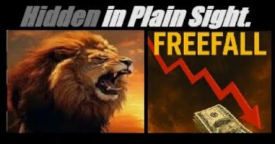 FREEFALL ECONOMIC POLICY? (Its Not What You Think). FULL-BREAKDOWN. Mannarino