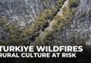 Frequent wildfires reshape Turkiye’s Aegean coast, threatening rural livelihoods and culture