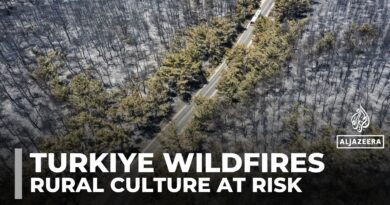 Frequent wildfires reshape Turkiye’s Aegean coast, threatening rural livelihoods and culture