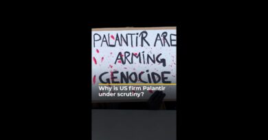 From Gaza to ICE raids, why is US firm Palantir under scrutiny? | AJ #shorts