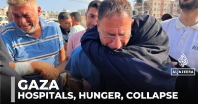 Gaza hospitals overwhelmed as malnutrition crisis worsens