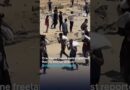 Gaza malnutrition deaths: Organizations express increasing alarm | DW News