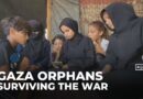 Gaza mother killed while seeking food, children left orphaned and facing hunger