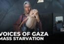 Gaza mother pleads for aid as toddler starves under Israeli blockade
