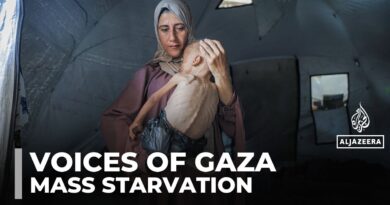 Gaza mother pleads for aid as toddler starves under Israeli blockade