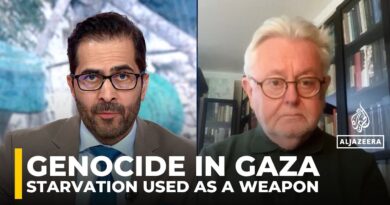 Gaza siege a textbook case of genocide under international law, says legal expert