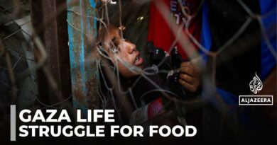 Gaza Under Siege: Stories of Resilience Amid Famine