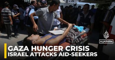 Gaza’s al-Shifa hospital struggles as Israeli troops fire on hungry aid-seekers