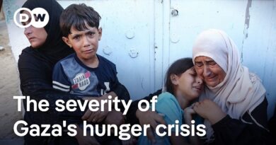 Gaza’s hunger crisis: What it is like on the ground, and what comes next | DW News