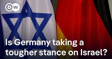 German foreign minister presses Israel on two-state solution | DW News