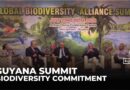Global biodiversity alliance summit: Countries pledge to protect planet’s biodiversity