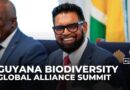 Global Biodiversity Alliance Summit: Guyana hosts regional leaders for environmental talks