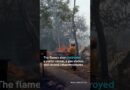 Grand Canyon wildfire blazes burn down historic lodge | DW News