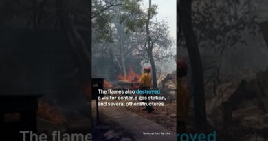 Grand Canyon wildfire blazes burn down historic lodge | DW News