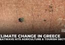 Greece’s heatwave hits tourism and agriculture as climate change bites
