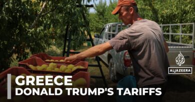Greek peach farmers fear Trump’s tariffs will devastate exports and livelihoods