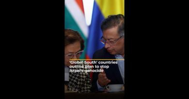 Group of countries outlines plan to stop Israel’s genocide & occupation