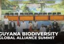 Guyana hosts Global Biodiversity Alliance Summit as leaders unite on conservation solutions