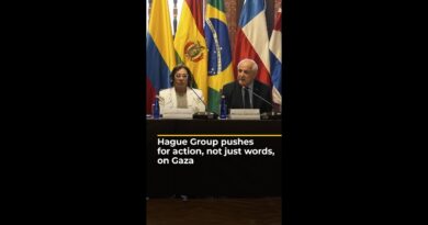 Hague Group pushes for action, not just words, on Gaza | AJ #shorts