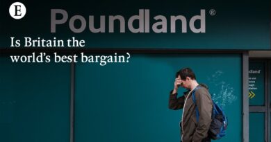 Has Britain become the world’s best bargain for foreign companies?